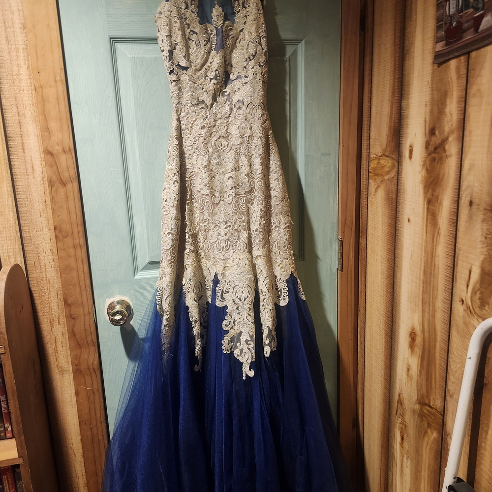 Elegant Lace and Tulle Gown